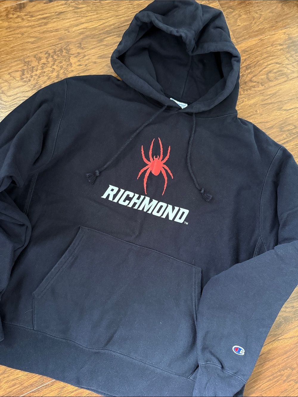 Champion Reverse Weave Hooded Sweatshirt - University of Richmond